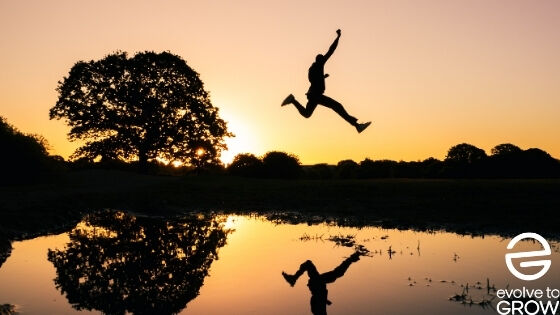 Lessons in Business Agility