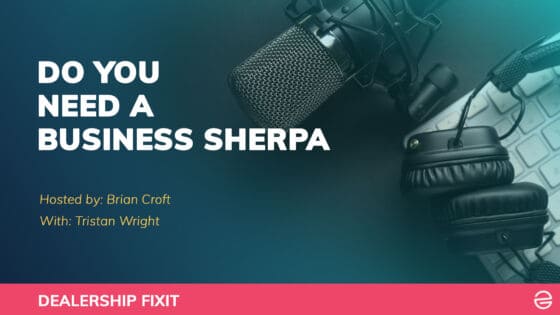 Do You Need A Business Sherpa