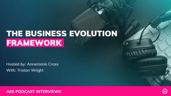 the business evolution framework