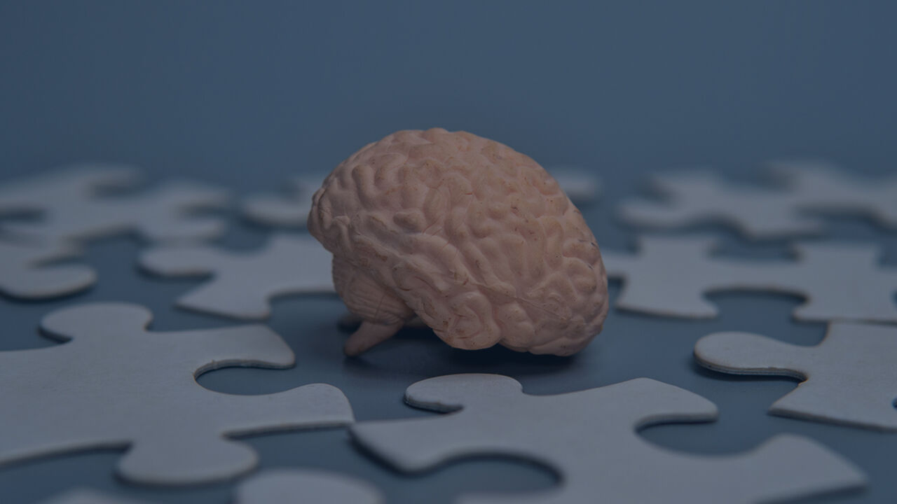 How To Train Your Mindset For Tender Success how to train your mindset for tender success