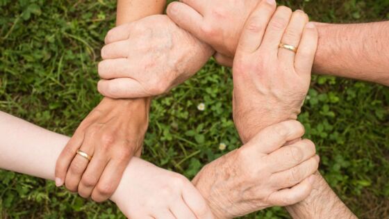 pexels pixabay 461049 (1)
